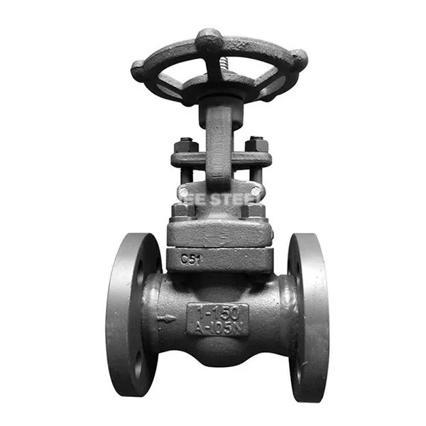 A105 Globe Valve