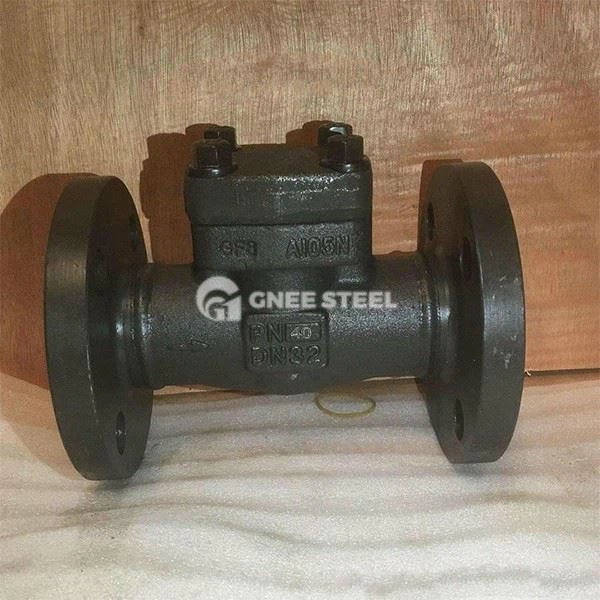 Forged Steel Check Valve