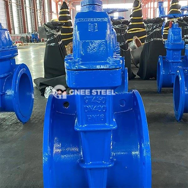 Resilient Seated Gate Valves