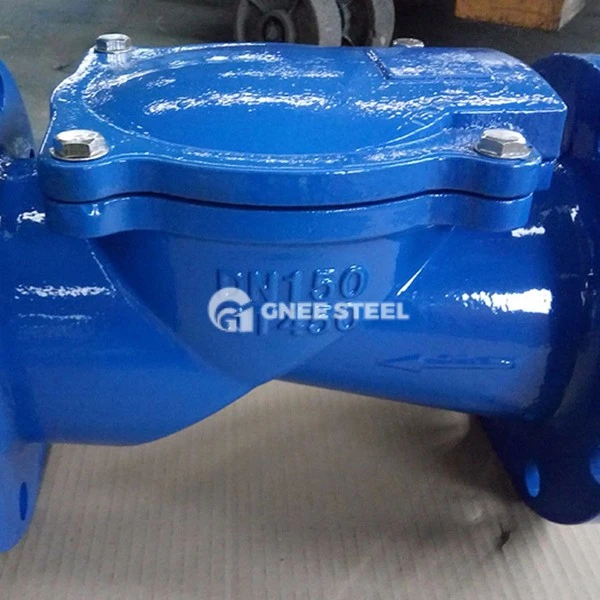Rubber Flapper Check Valve